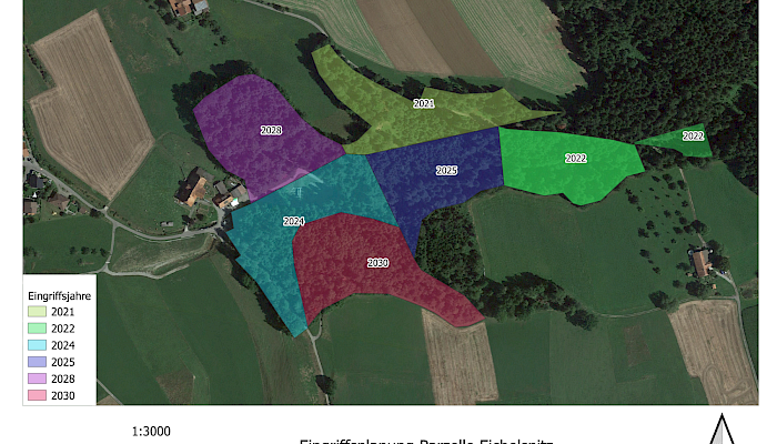 Organisation und Planung