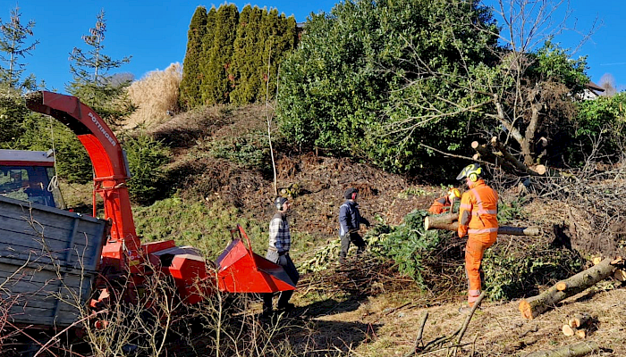 Spezial- und Sicherheitsholzerei