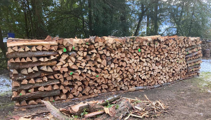 Brennholz zu verkaufen